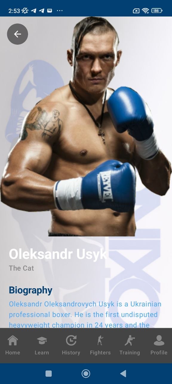 Oleksandr Usyk profile